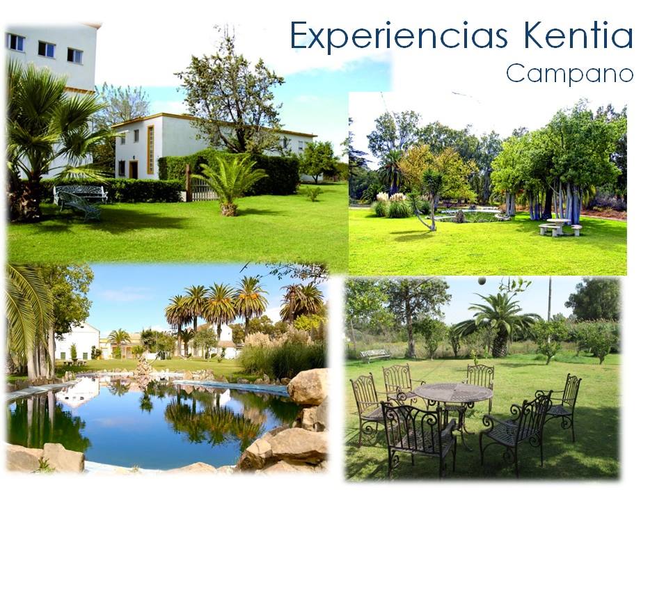 Kentia Coaching Noticias 16 MAYO EXPERIENCIAS KENTIA - JORNADA